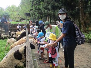 Read more about the article Find the Joy of Learning through Small Excursions & Field Trips!